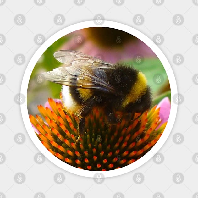 Cute Bumble Bee Magnet by KaSaPo